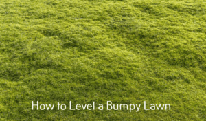 Level a bumpy lawn