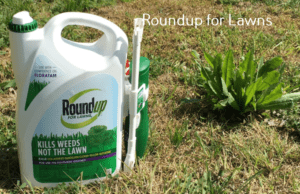 Roundup for lawns