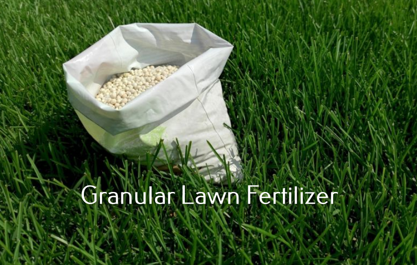 Granular lawn fertilizer
