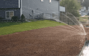 watering grass seed