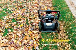 Mowing over leaves