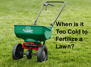 when to fertilize a lawn