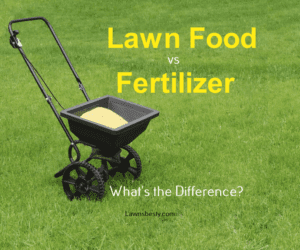 Lawn Food vs Fertilizer