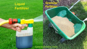 Liquid vs granular fertilizer